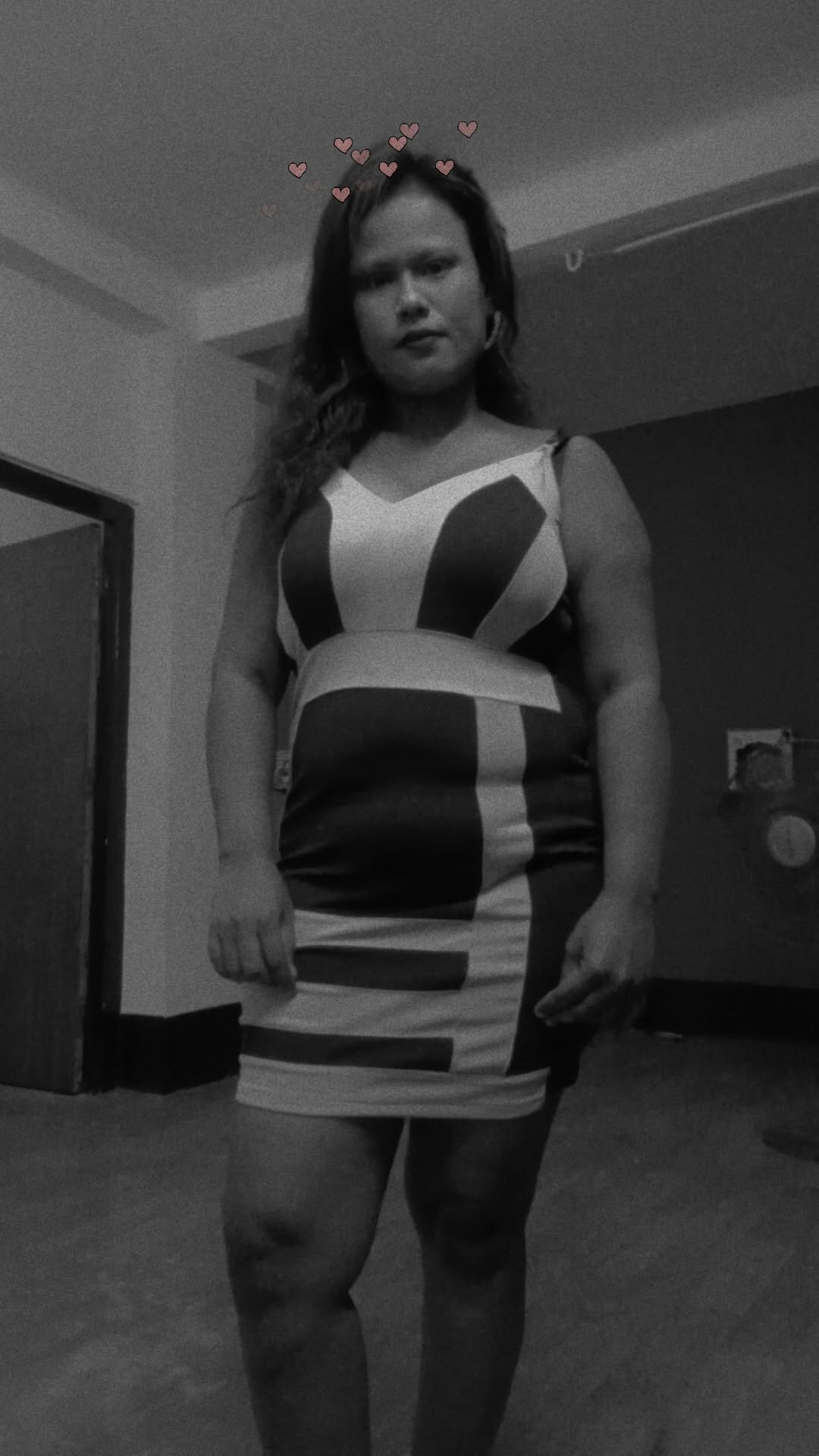 Model_Tannu