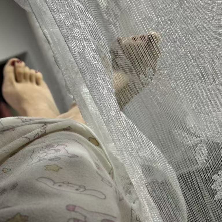 free6cams.com ssdee11 livesex profile in latin cams