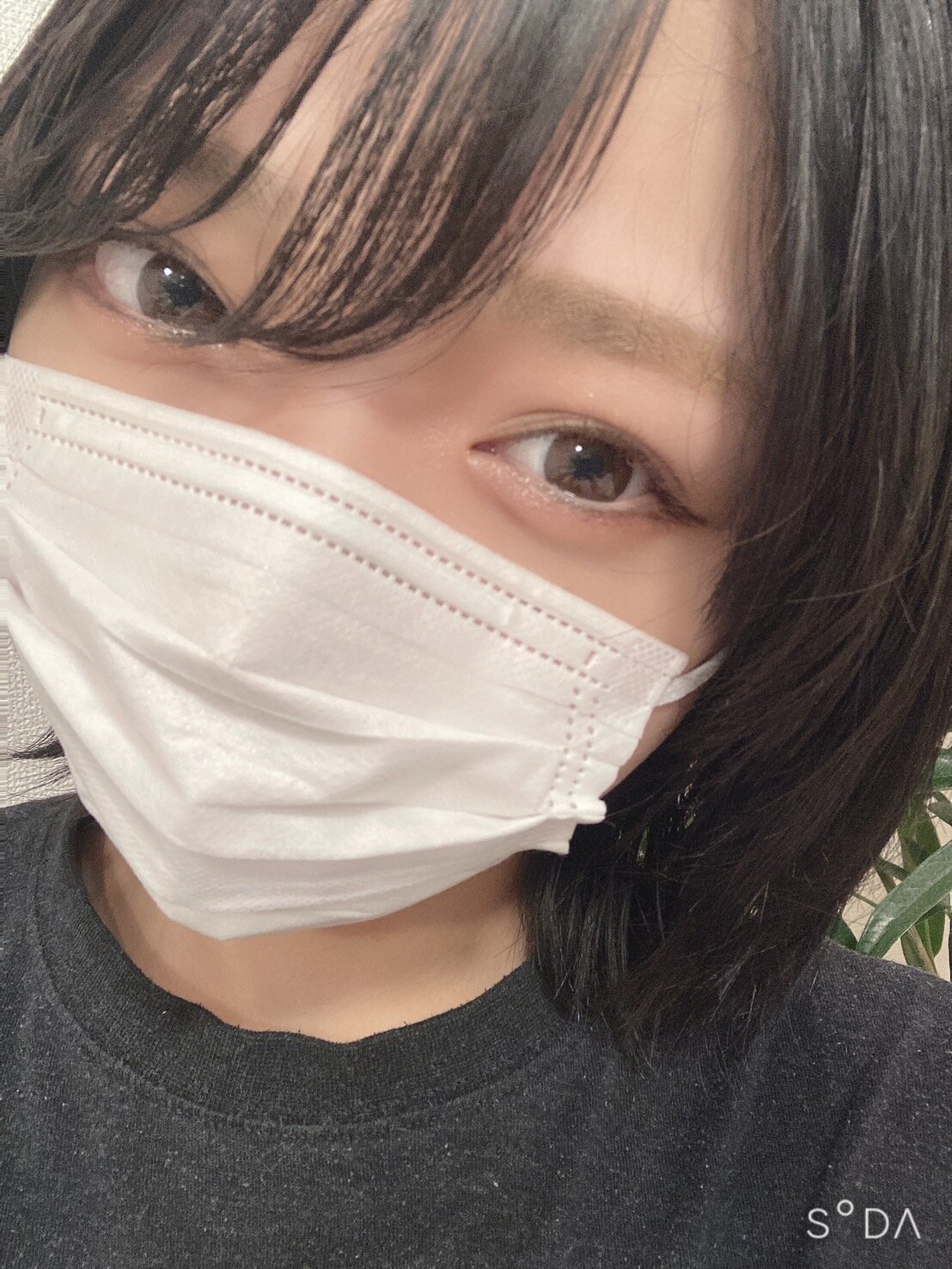 ao_cha