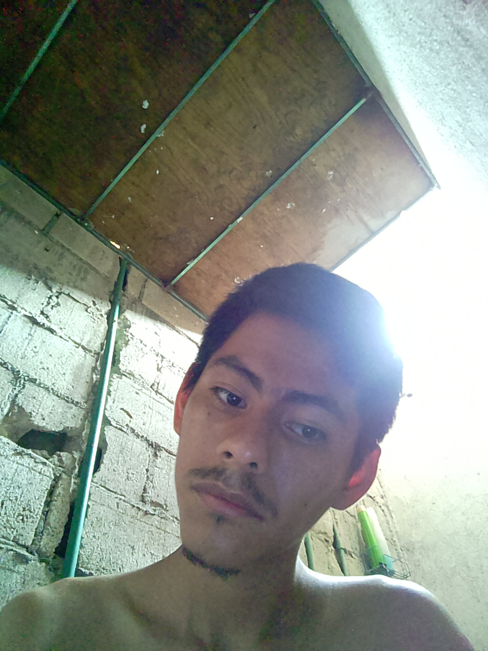 231ADRIANRANA