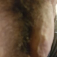 pollino8's Offline XXX Chat