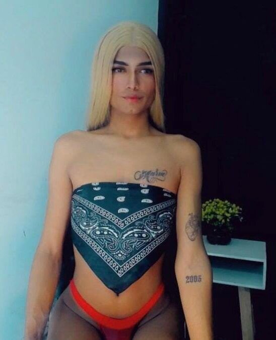 alisson_fox1