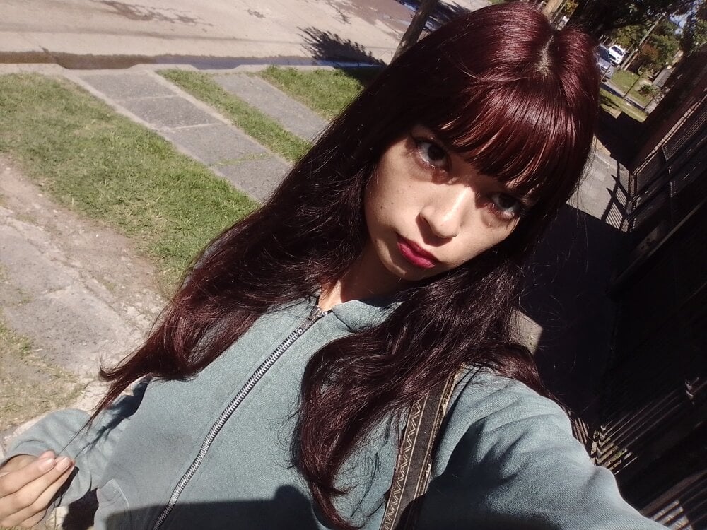 stripchat shaiel24 webcam profile pic via onaircams.com