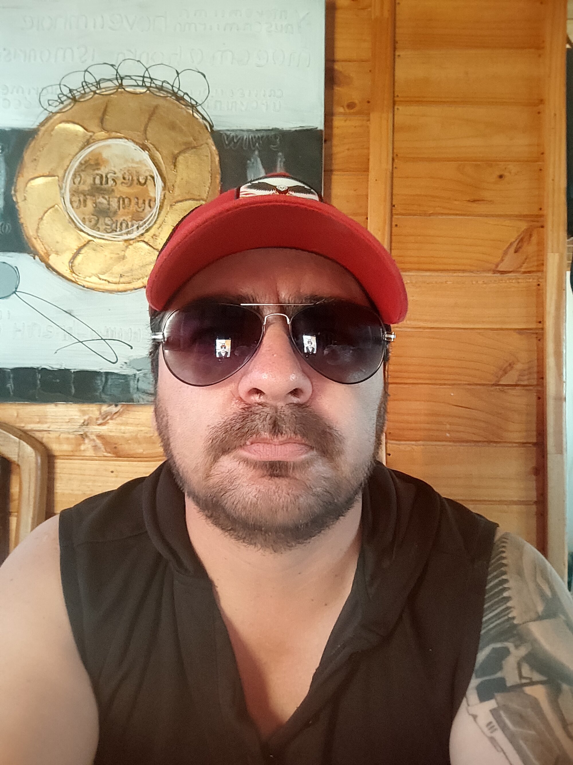 Harlam_verg