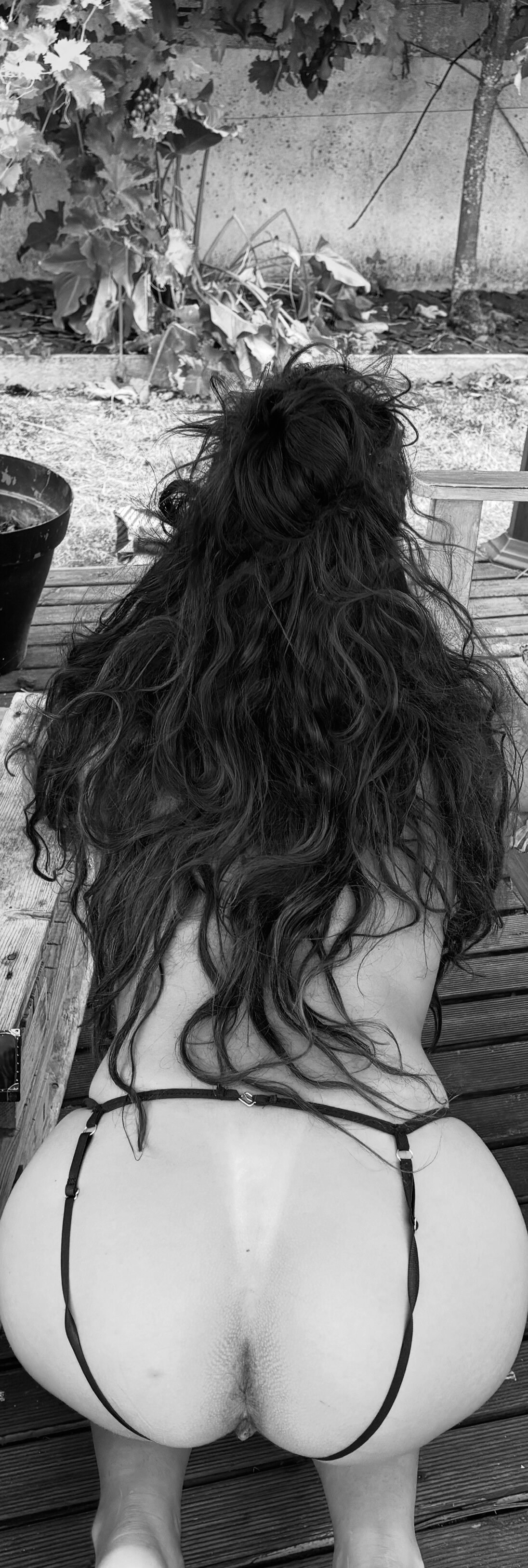 lapetitesalopedelouest