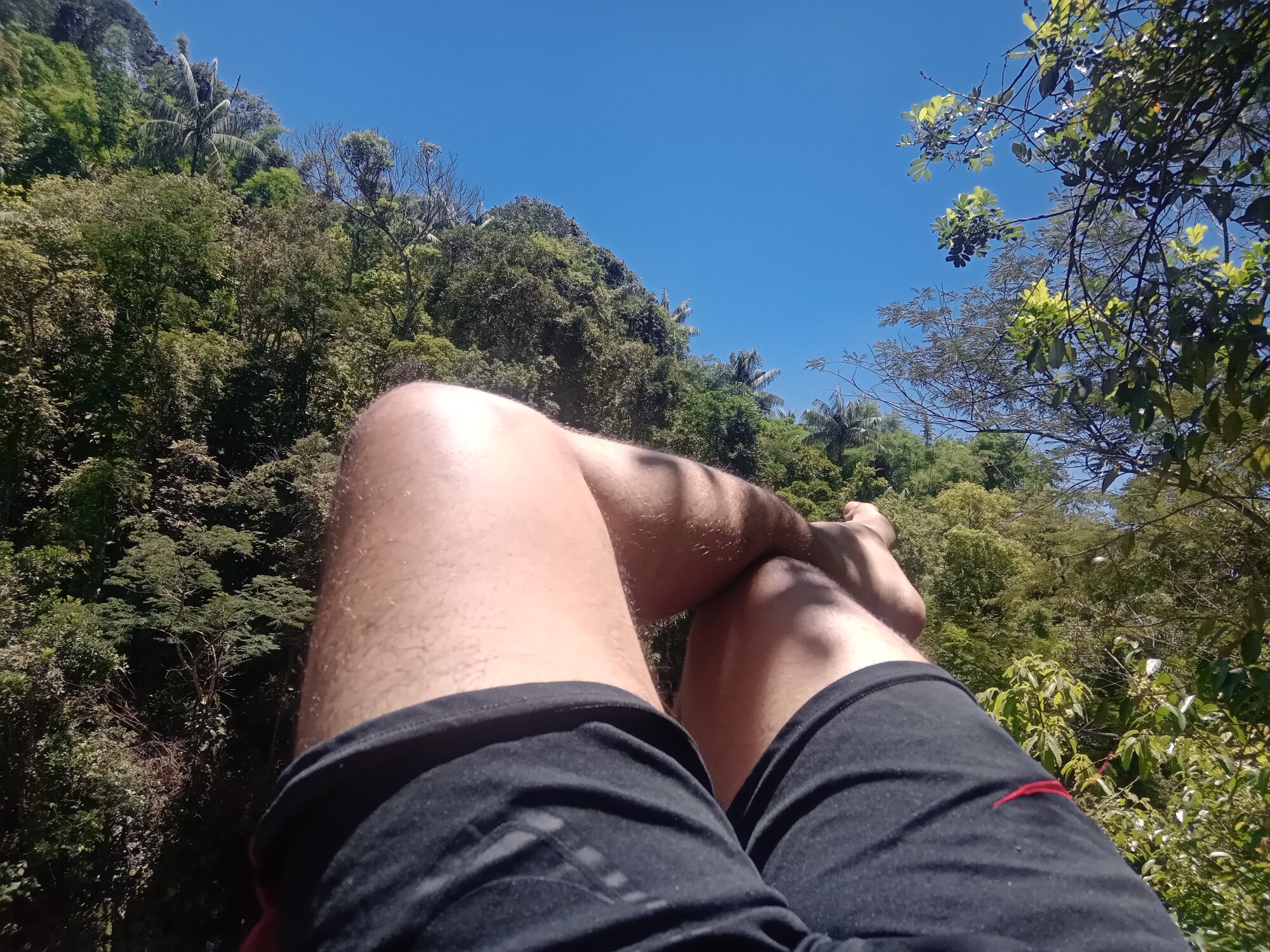 Guillerbrj