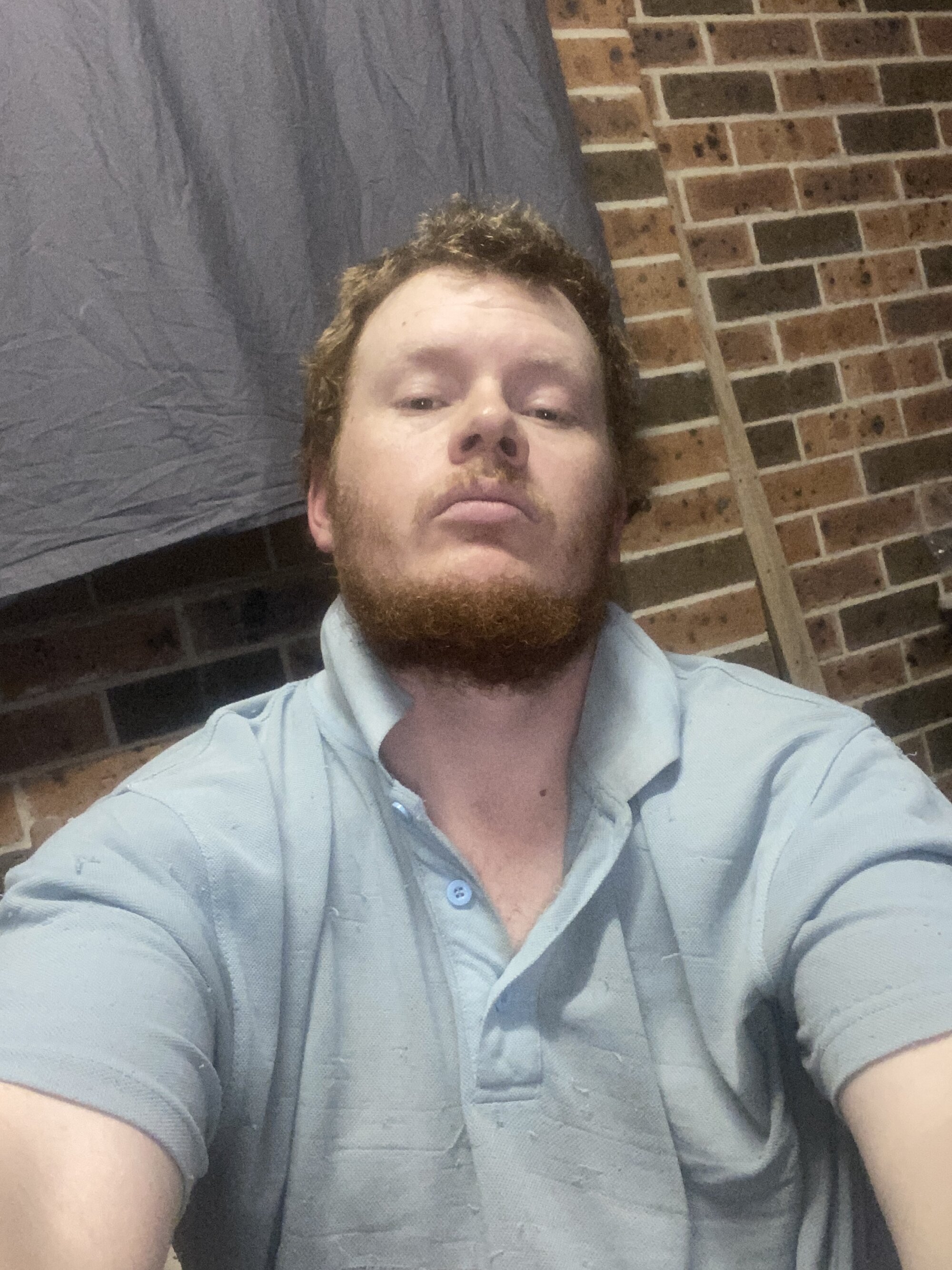 Gingernuts649