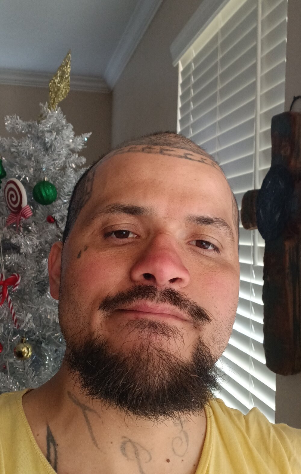 Offline XXX chat Crazyhorse865775