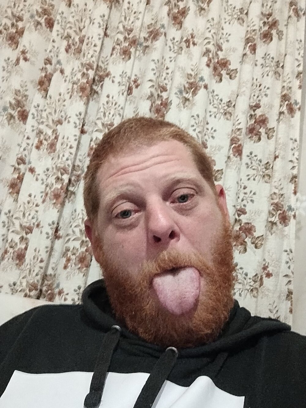 Baumhackel's most recent online preview