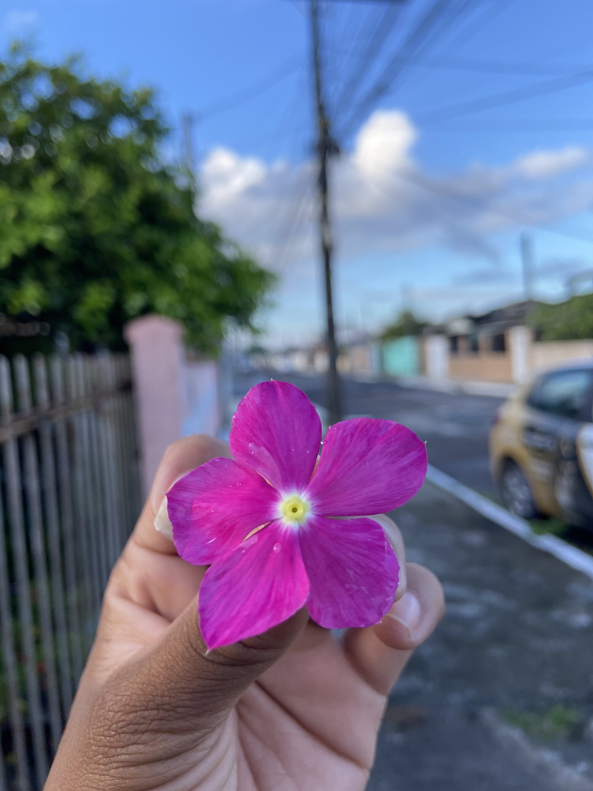 baianasafada45