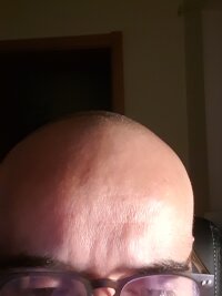 Fasullo00's Offline Chat Room