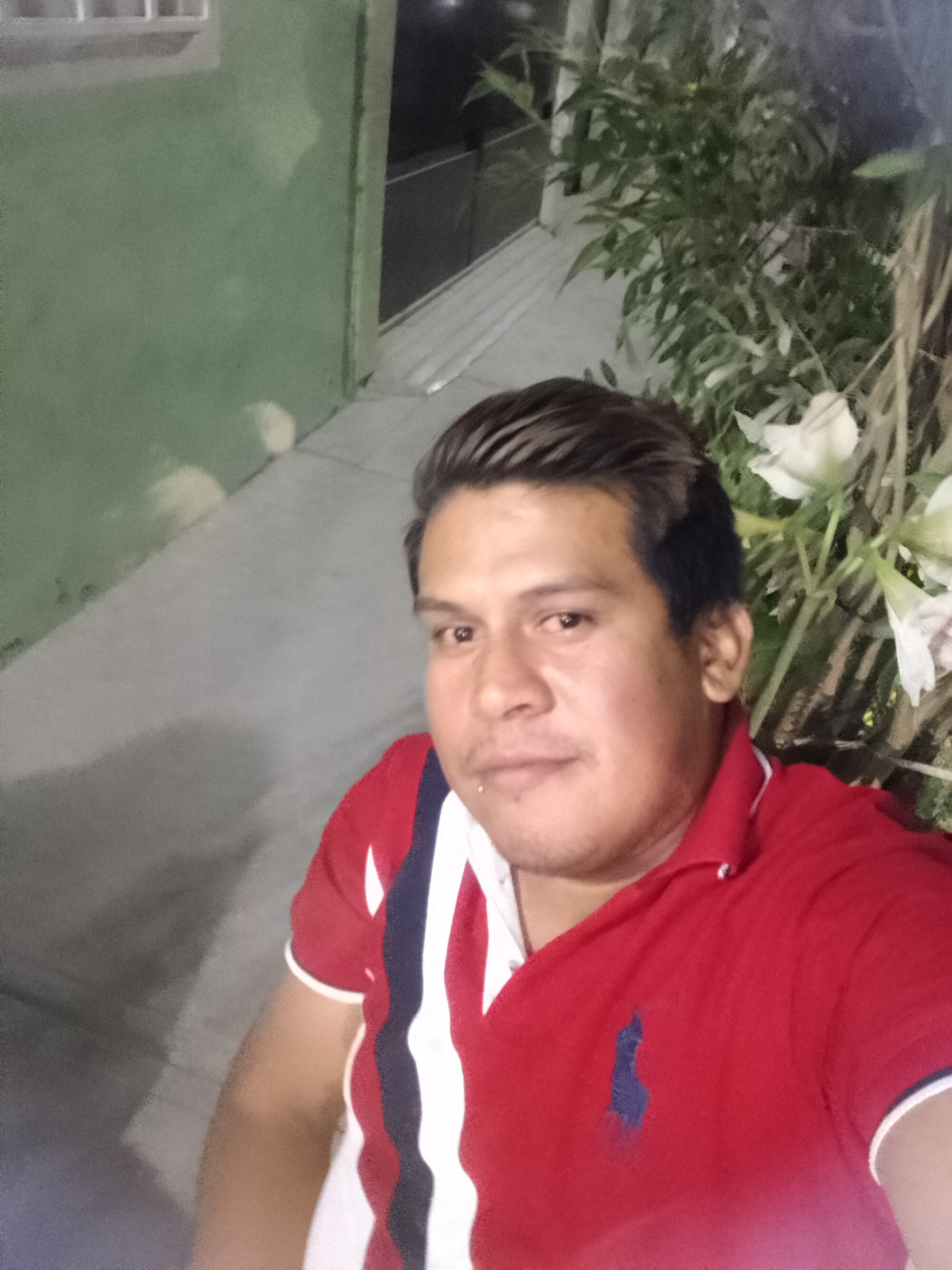 MOY_29