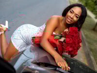 Модель Niyirey1