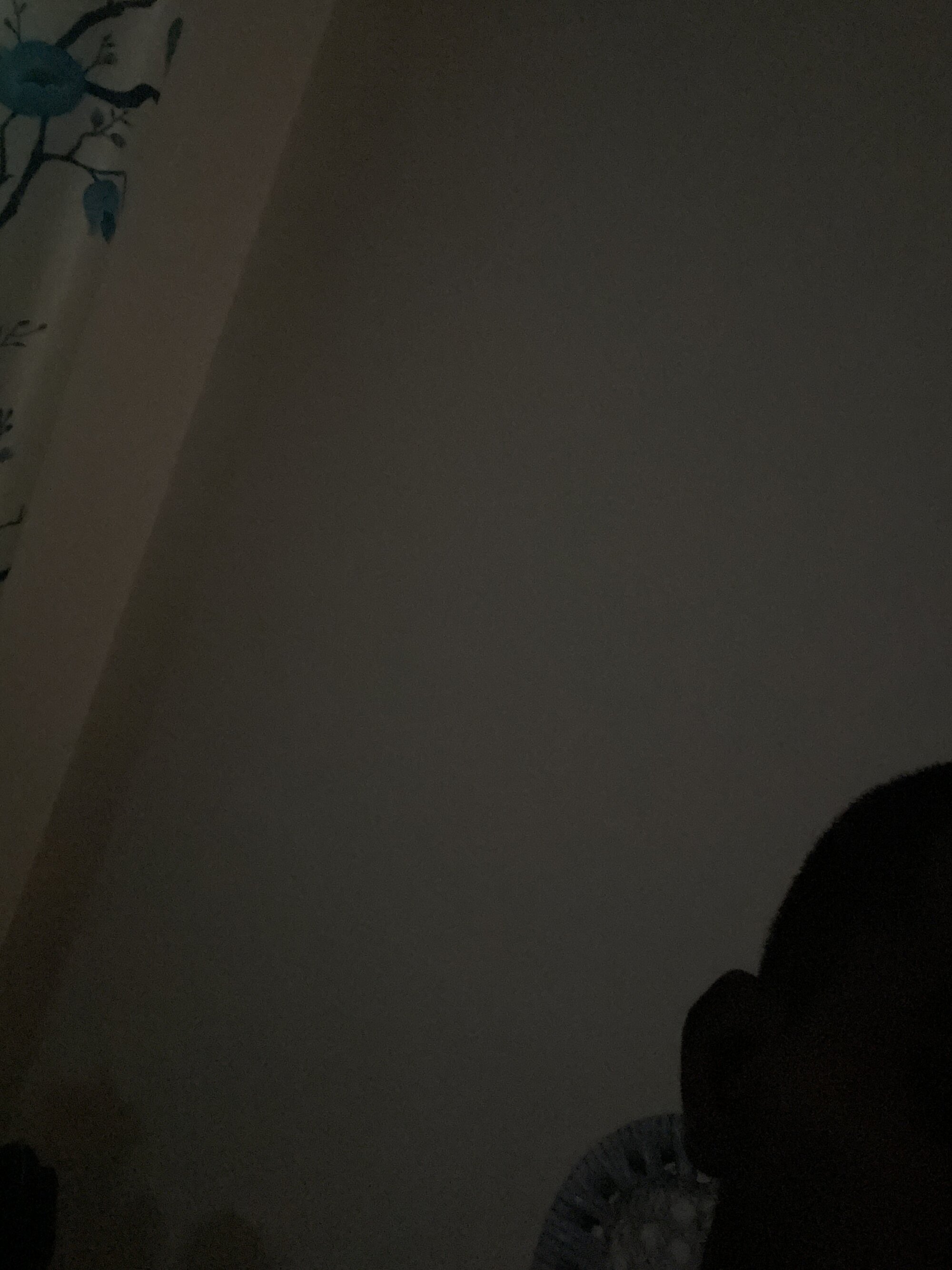 new_fucker__