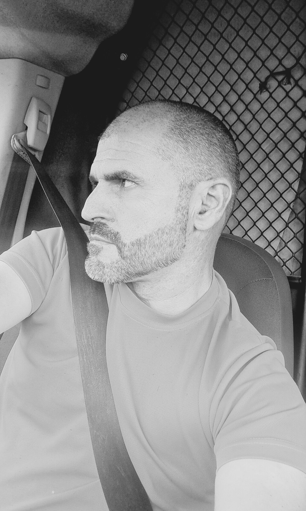 Regalito131's most recent online preview