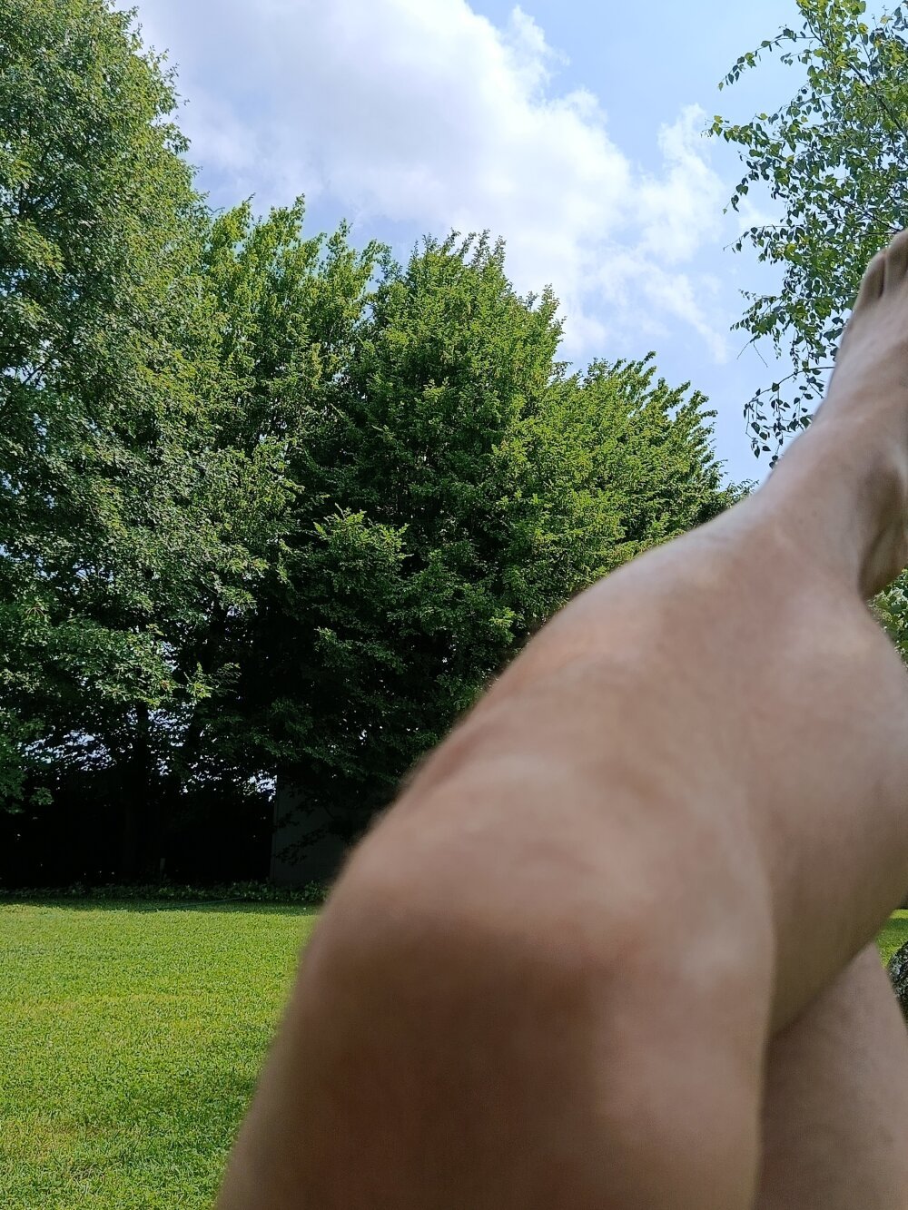 guelfo1