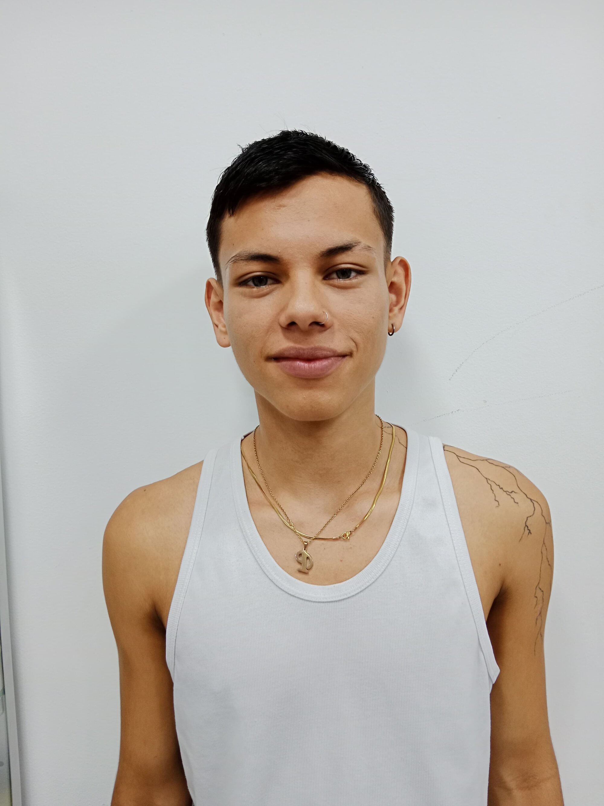 Alexander_ferrer