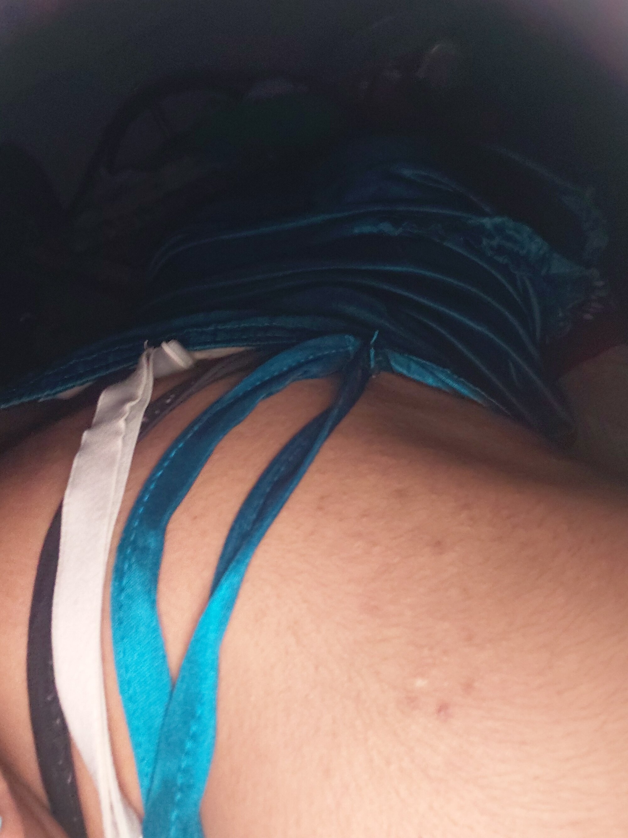 BellaxTrans