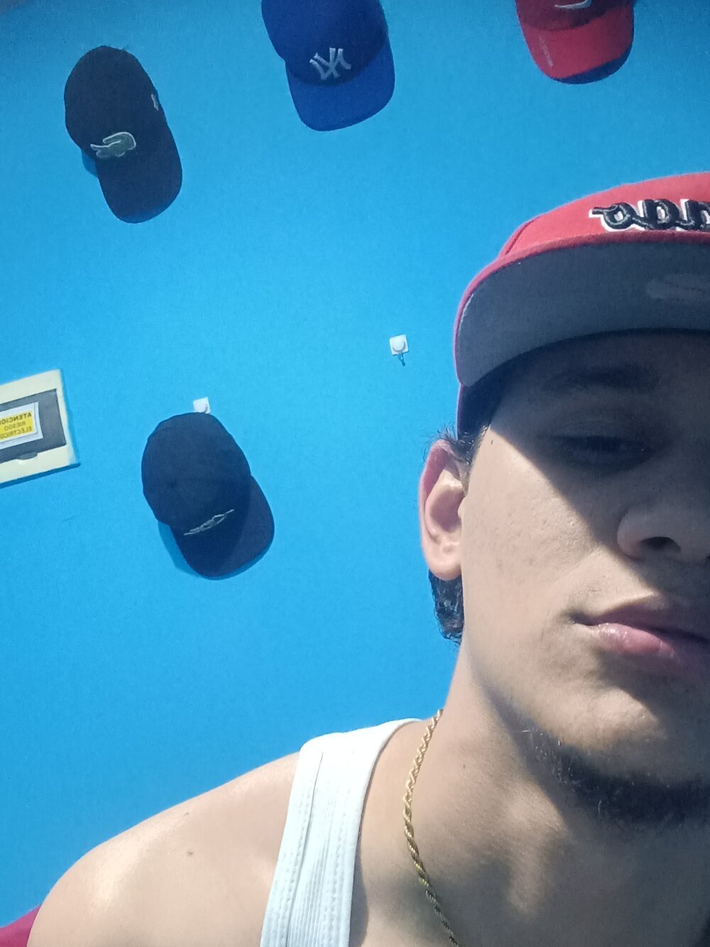 Chat XXX offline de Scorpion_22cm