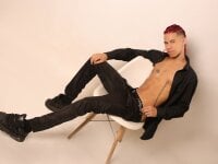 Model Erick_Zhimerman