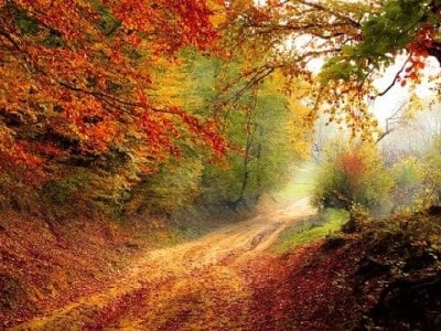 NicaVirginia - Stripchat Blowjob Cam2cam Deepthroat Couple 