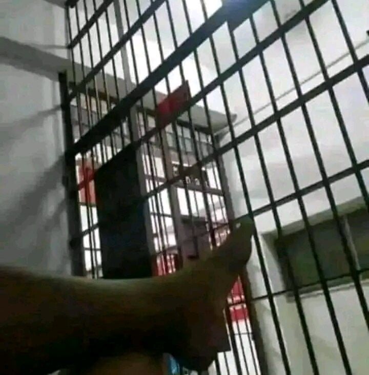 แชท XXX ออฟไลน์ของ Alagoano12