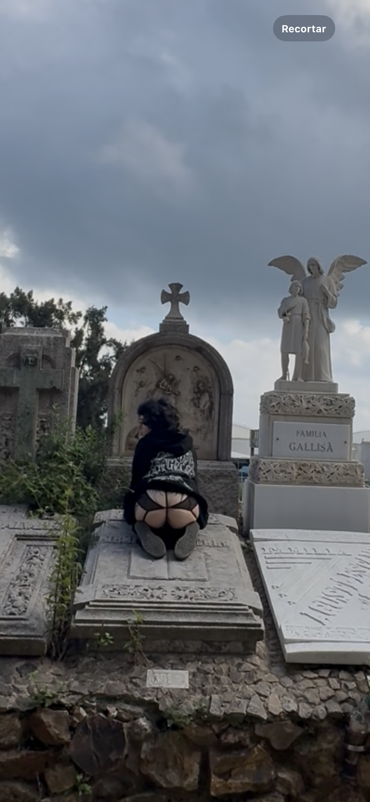 whitebunny88
