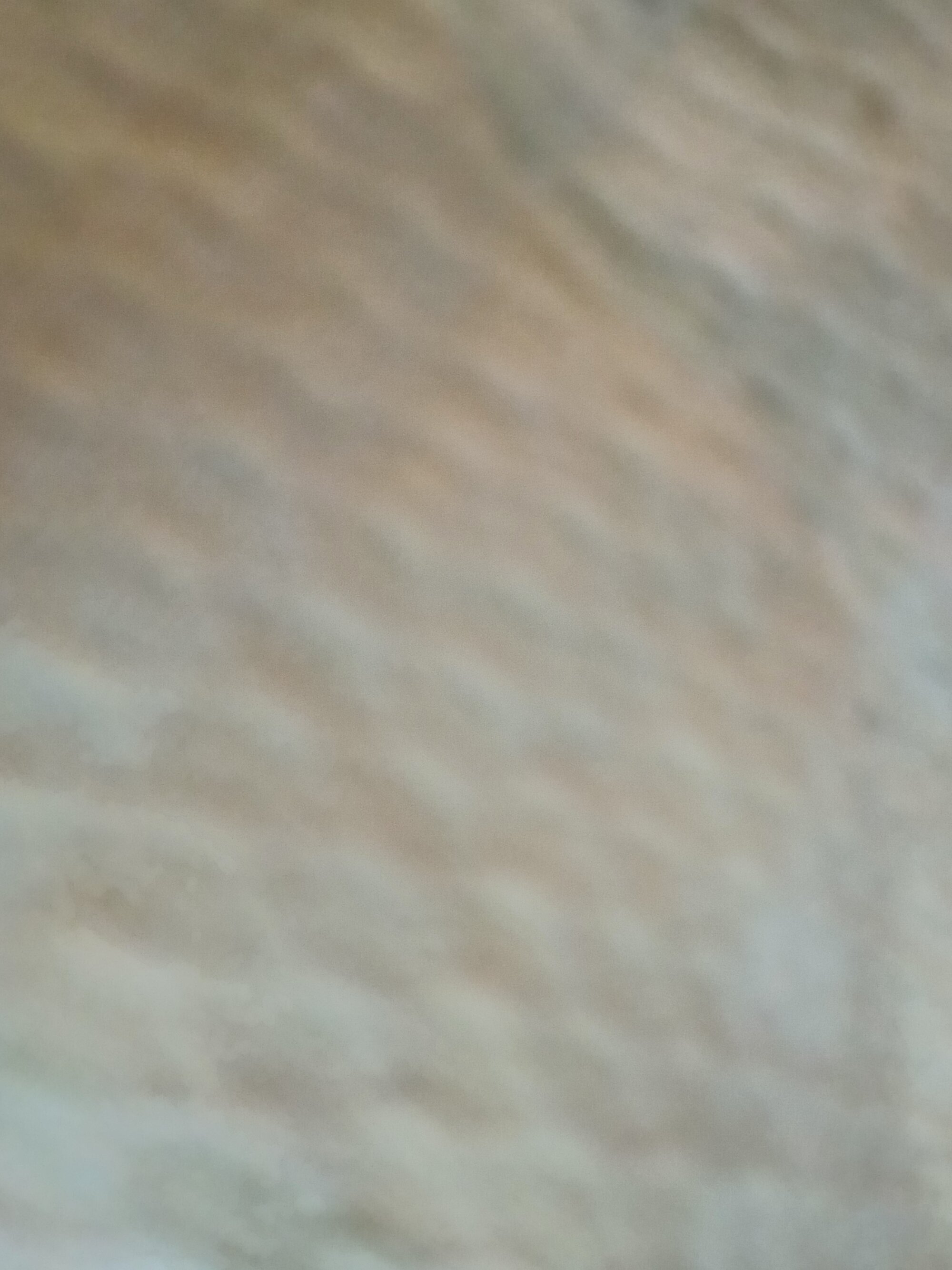 pornist