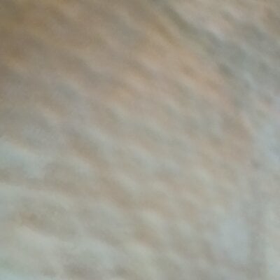 Pornist
