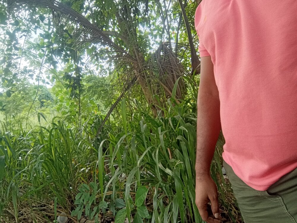 macpk3397 from stripchat