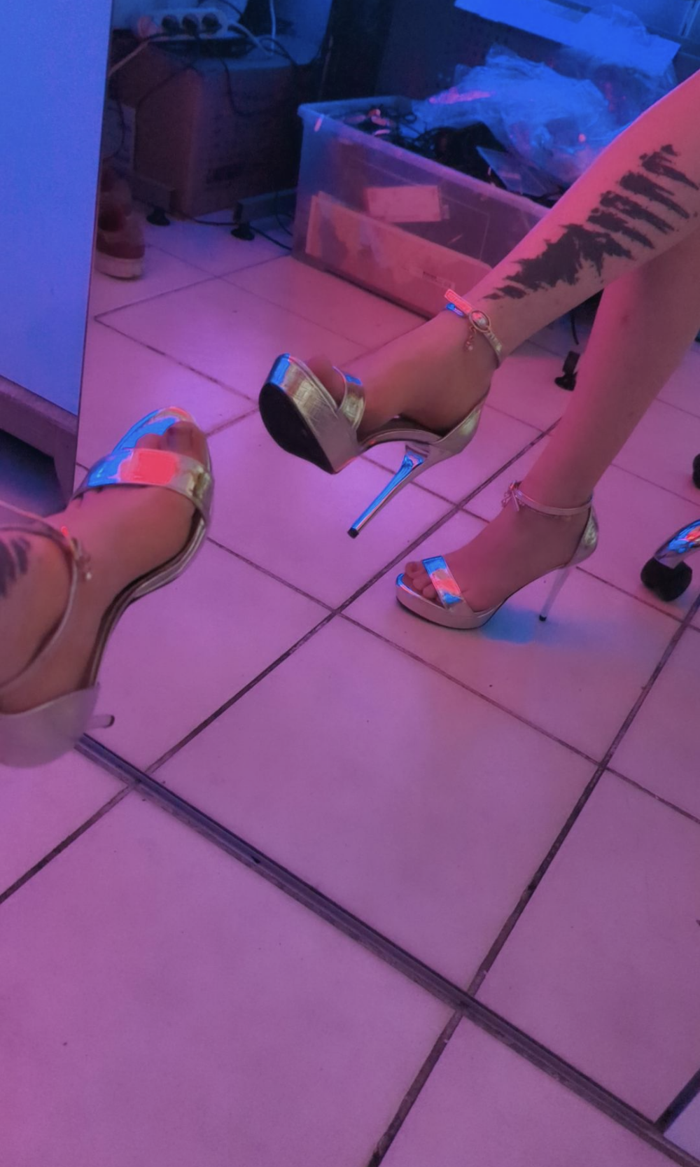 MindMistress Chat XXX offline