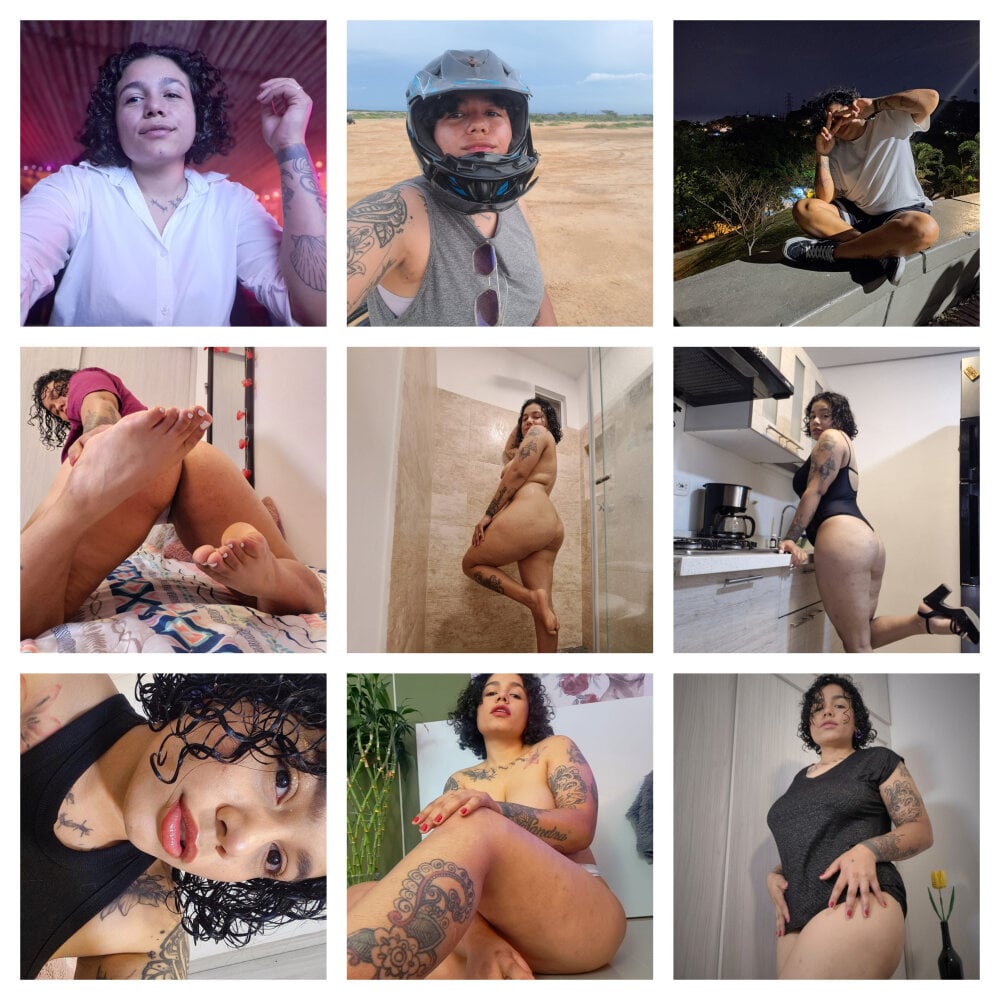 alexholyy profile