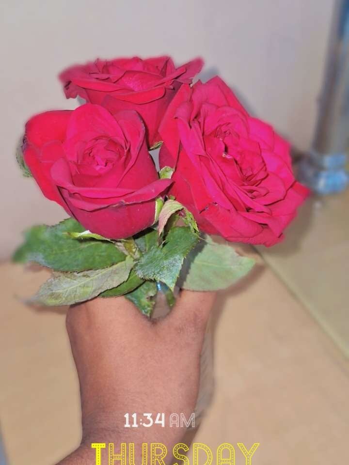 watchgirlcam.com telugupilla0925 livesex profile in in-a-corner-of-your-fantasies cams