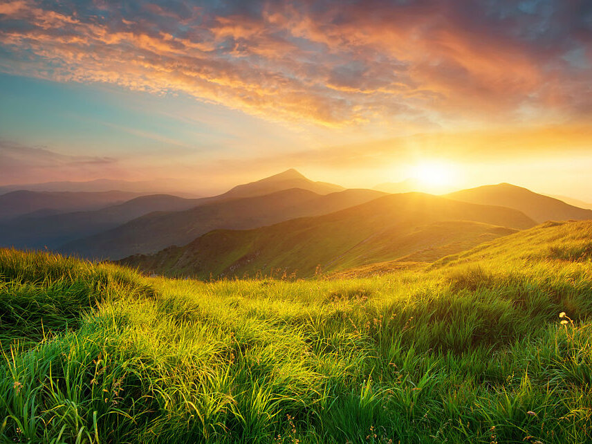 poker_5 from stripchat