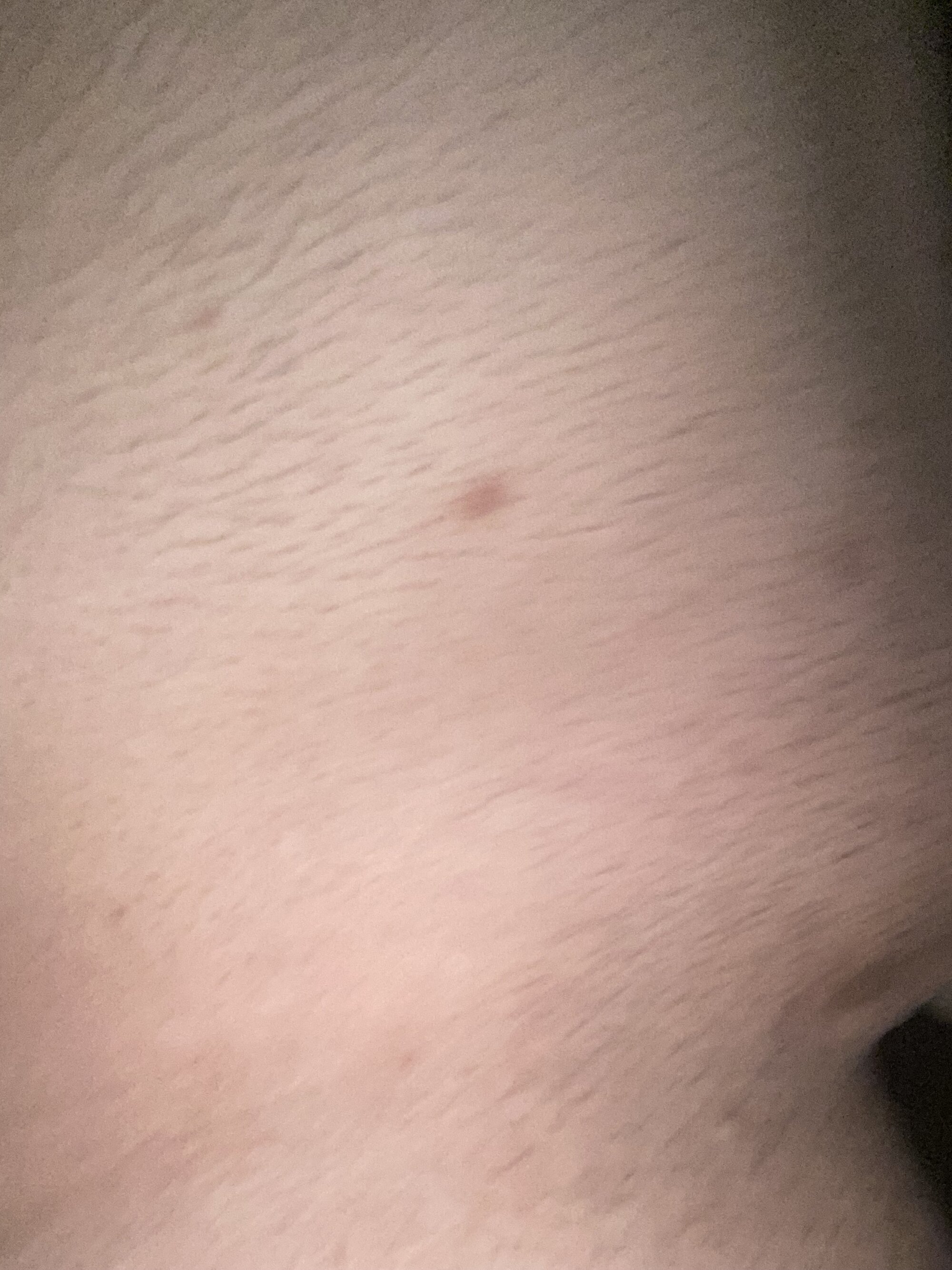 sluttynudist1