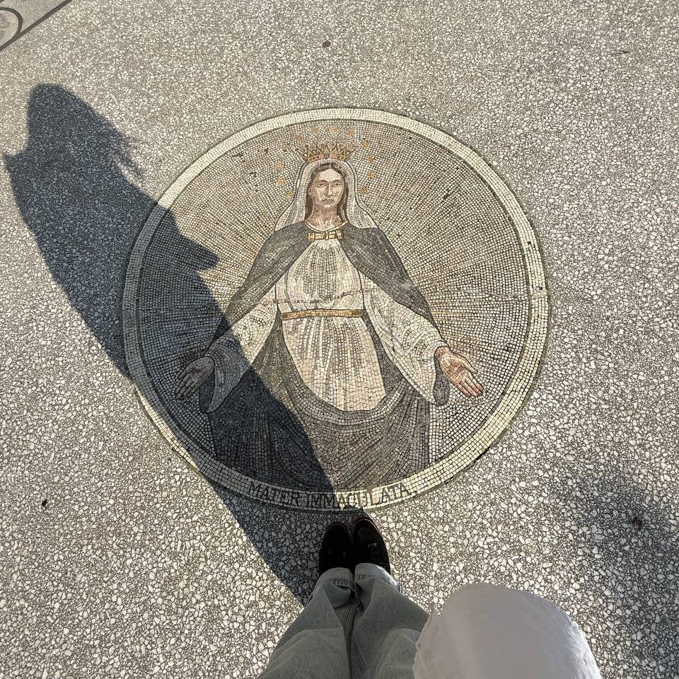 rudecam.live glowmimi livesex profile in on-suitcases cams