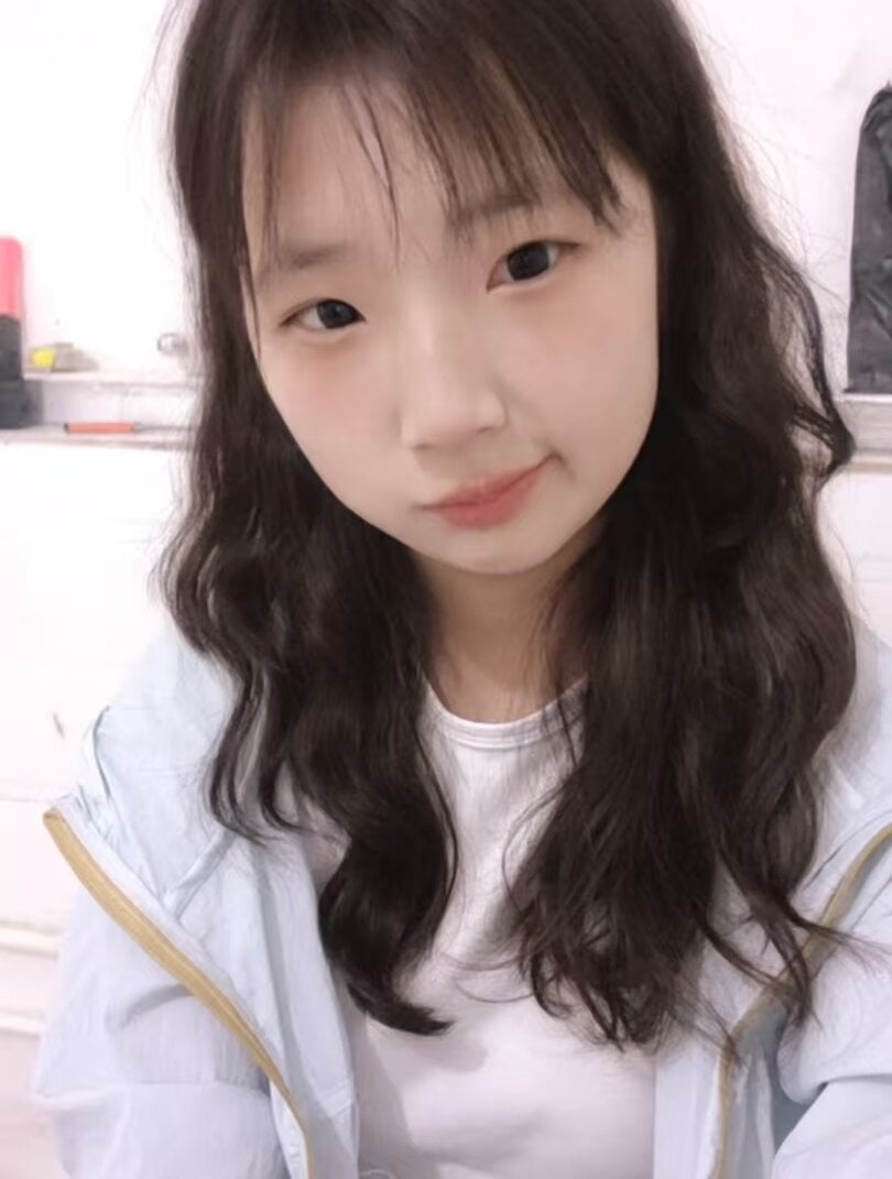huihui-231