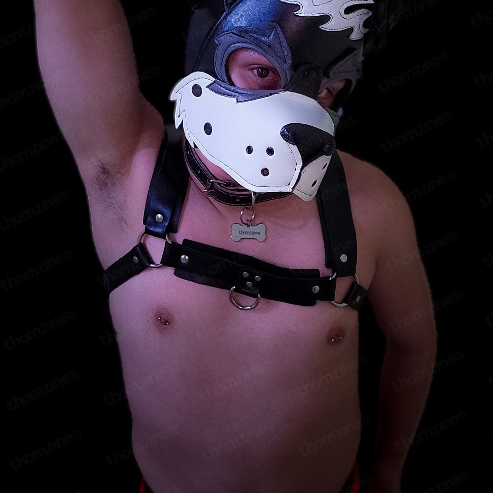 thomzineo offline XXX-chatje