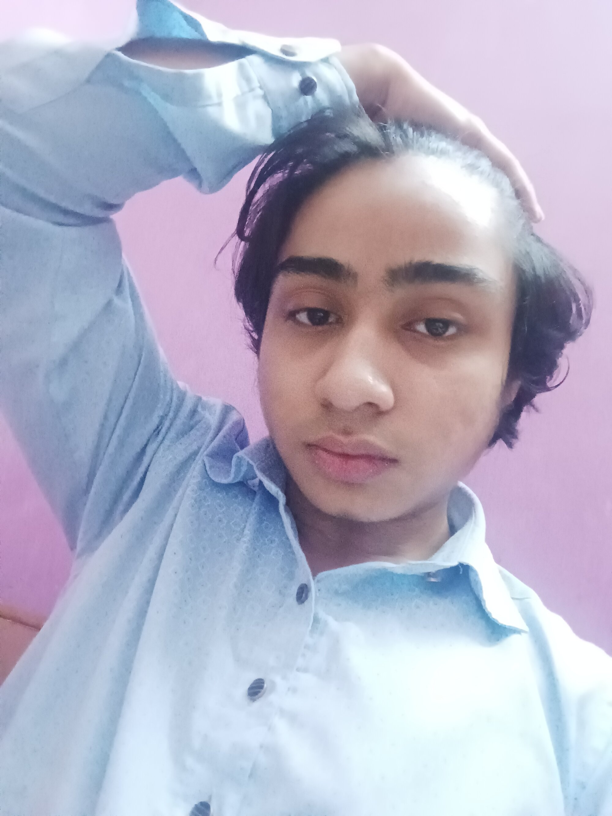 Kolkatabullforfemale