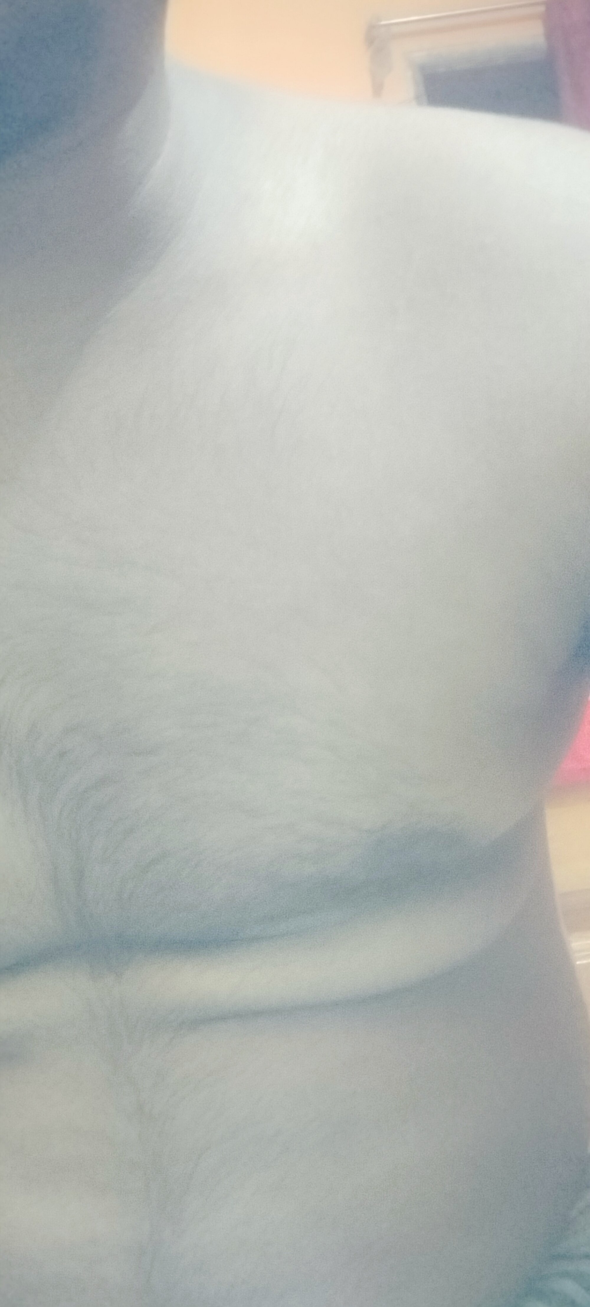 sham_112