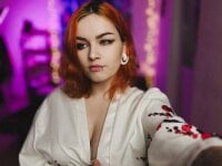 Модель Cherrynight
