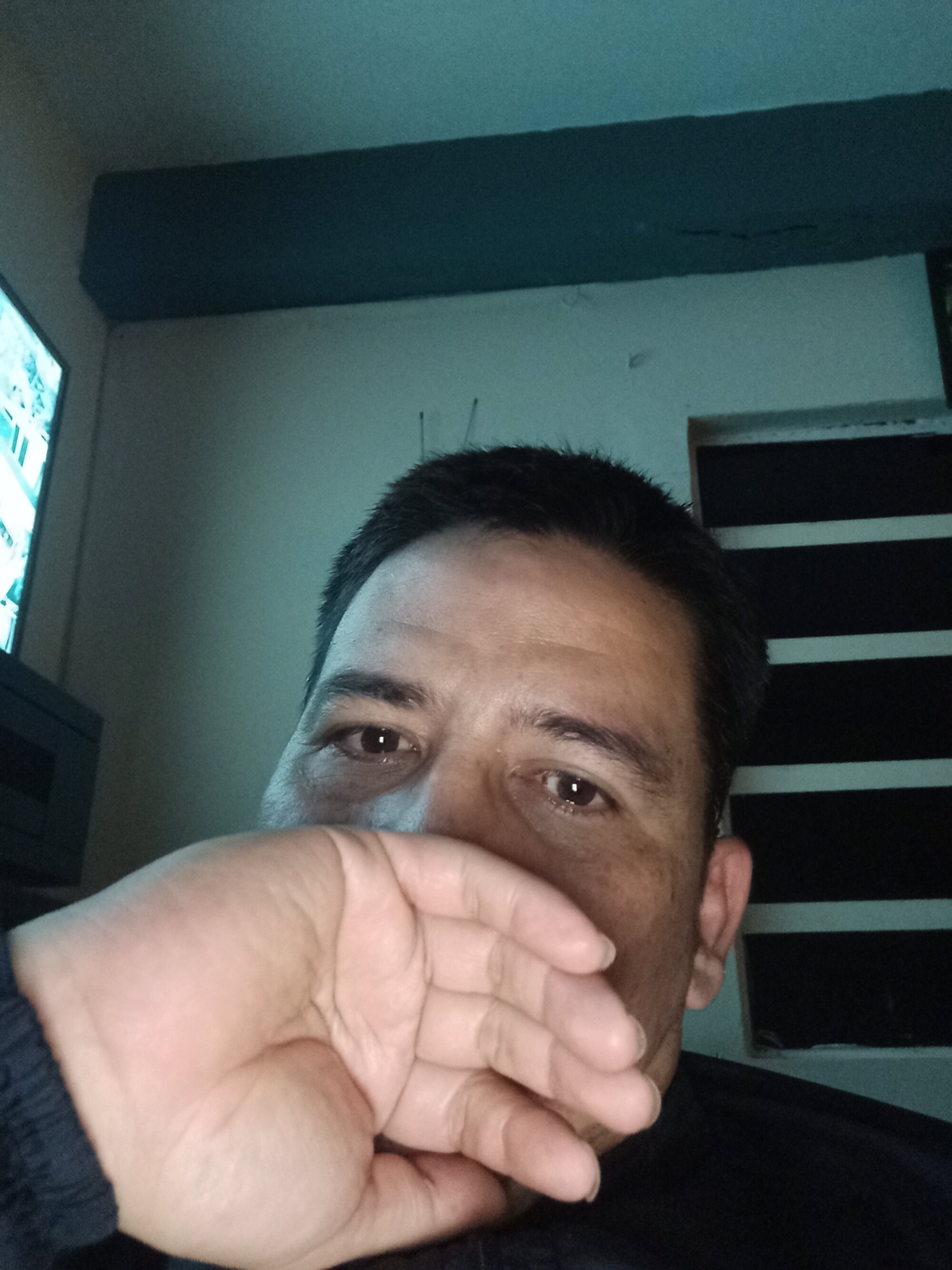 Edipaca