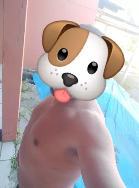 LindoTicudo