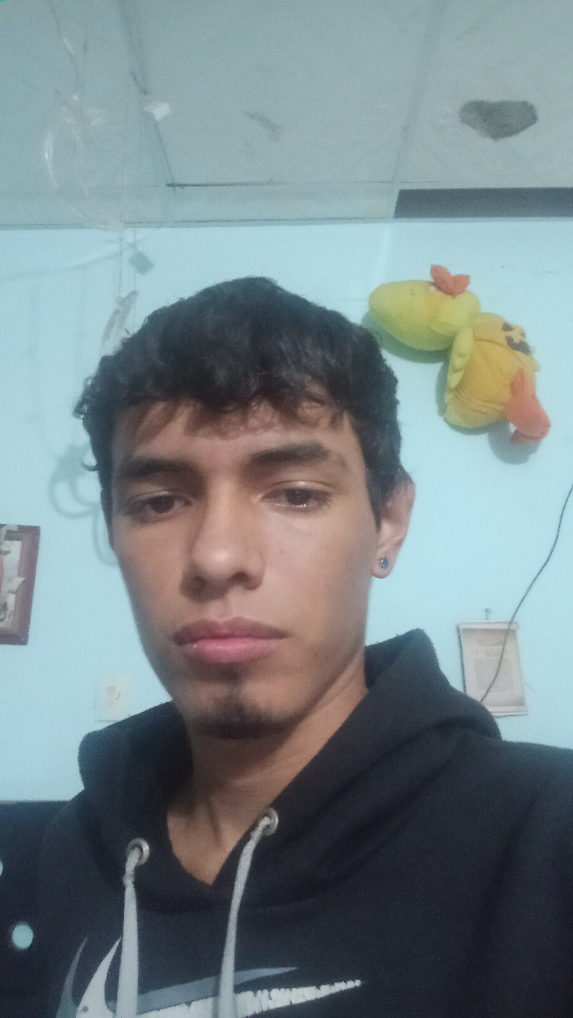 cerbero2317
