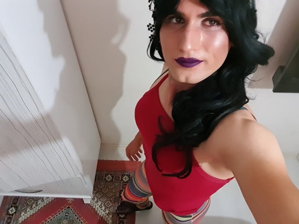 cd-burcu