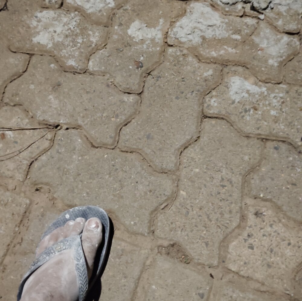 Novinhosafadt's Offline XXX Chat