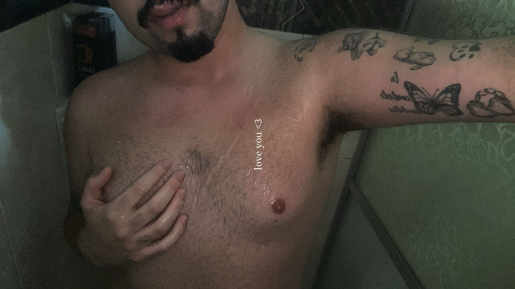 novin_pes