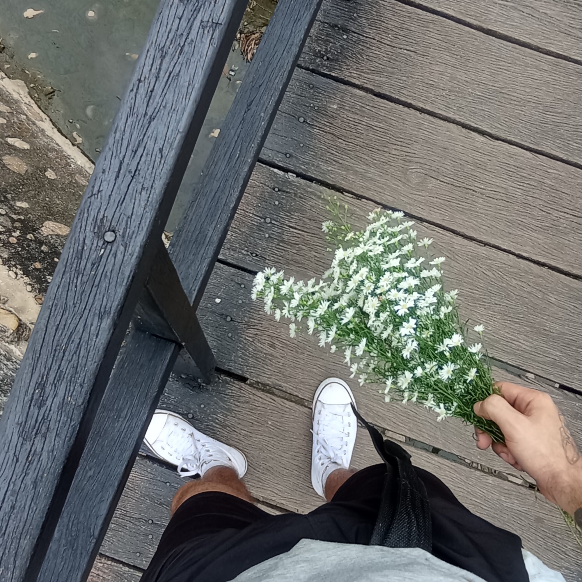 angello_