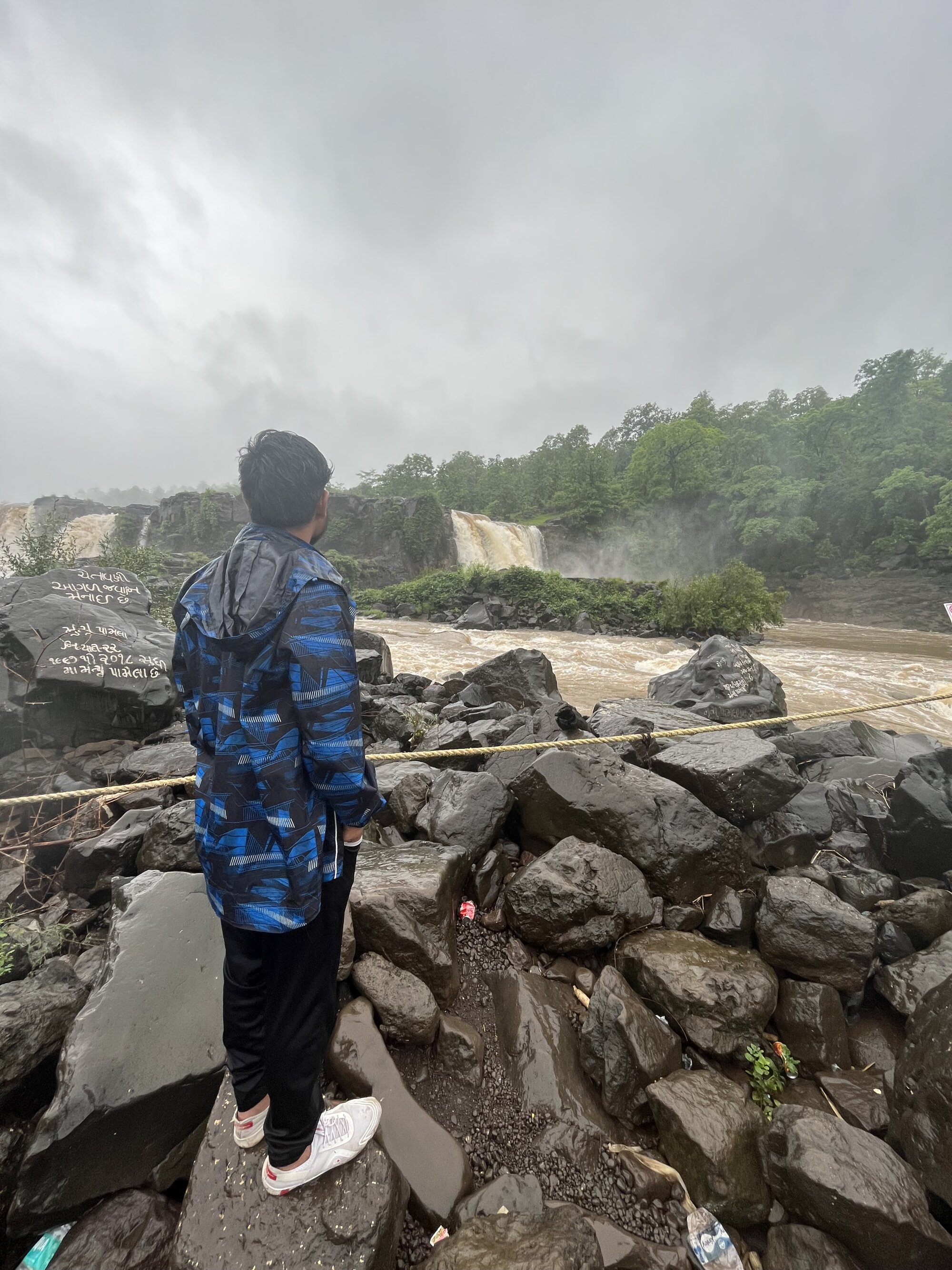 NoddingScorpion live webcam