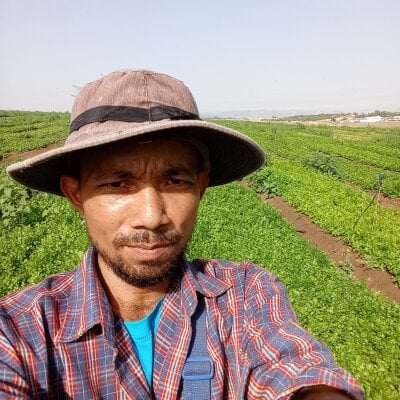 Sawang253309